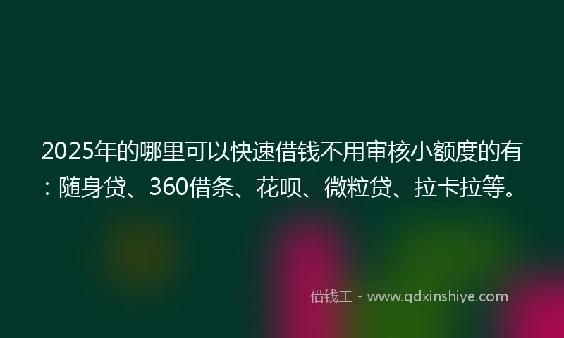 2025年的哪里可以快速借钱不用审核小额度的有：随身贷、360借条、花呗、微粒贷、拉卡拉等。