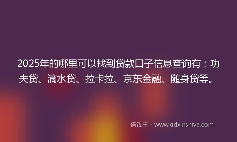 2025年的哪里可以找到贷款口子信息查询有：功夫贷、滴水贷、拉卡拉、京东金融、随身贷等。