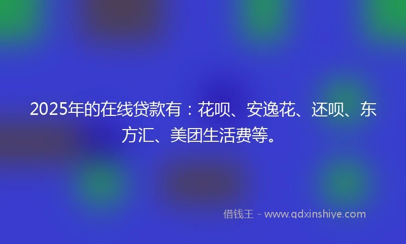2025年的在线贷款有：花呗、安逸花、还呗、东方汇、美团生活费等。