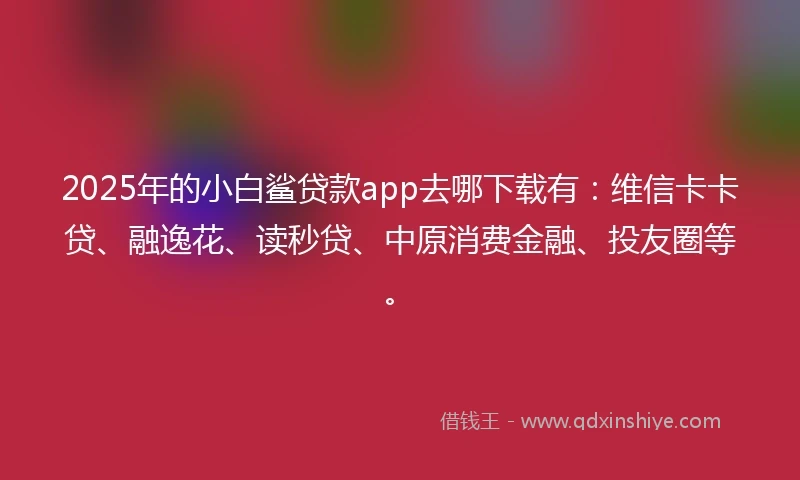 2025年的小白鲨贷款app去哪下载有：维信卡卡贷、融逸花、读秒贷、中原消费金融、投友圈等。