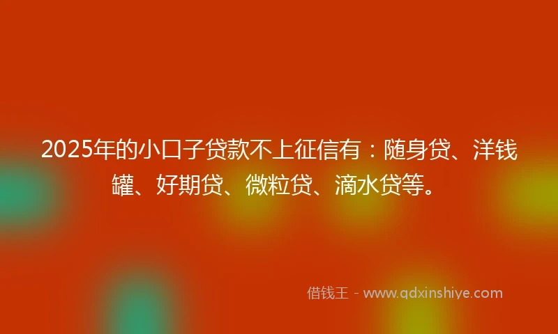 2025年的小口子贷款不上征信有：随身贷、洋钱罐、好期贷、微粒贷、滴水贷等。
