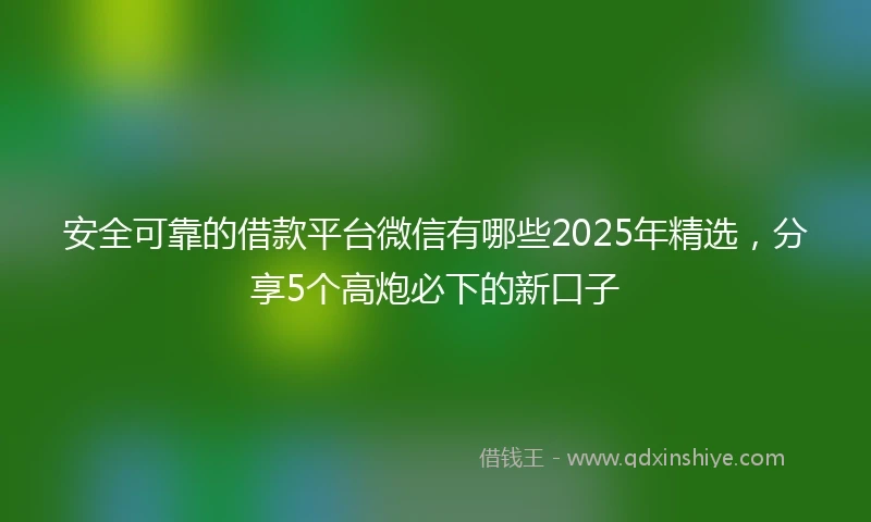 安全可靠的借款平台微信有哪些2025年精选，分享5个高炮必下的新口子