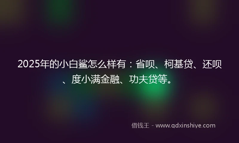 2025年的小白鲨怎么样有：省呗、柯基贷、还呗、度小满金融、功夫贷等。
