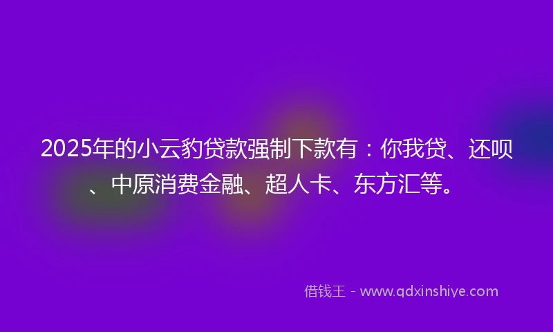 2025年的小云豹贷款强制下款有：你我贷、还呗、中原消费金融、超人卡、东方汇等。