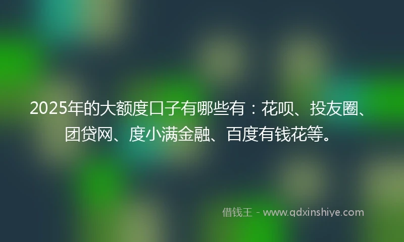 2025年的大额度口子有哪些有：花呗、投友圈、团贷网、度小满金融、百度有钱花等。