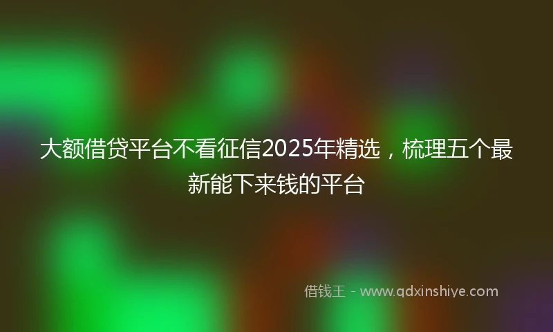 大额借贷平台不看征信2025年精选，梳理五个最新能下来钱的平台