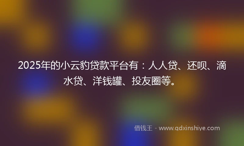2025年的小云豹贷款平台有：人人贷、还呗、滴水贷、洋钱罐、投友圈等。
