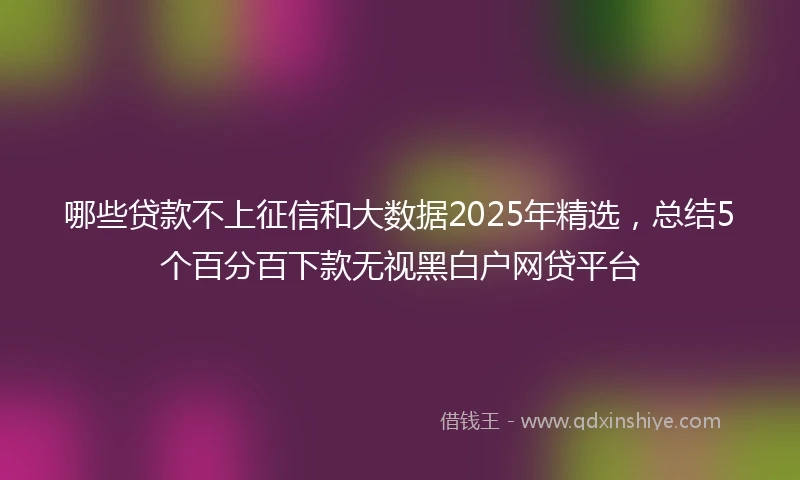 哪些贷款不上征信和大数据2025年精选，总结5个百分百下款无视黑白户网贷平台