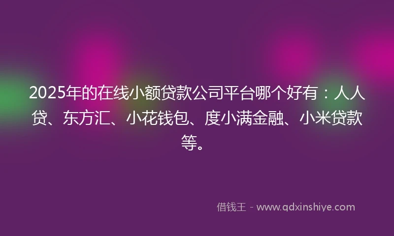 2025年的在线小额贷款公司平台哪个好有：人人贷、东方汇、小花钱包、度小满金融、小米贷款等。