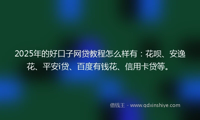 2025年的好口子网贷教程怎么样有：花呗、安逸花、平安i贷、百度有钱花、信用卡贷等。