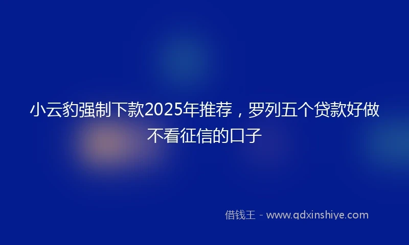 小云豹强制下款2025年推荐，罗列五个贷款好做不看征信的口子