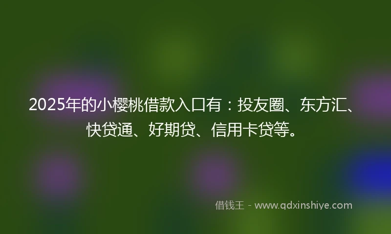 2025年的小樱桃借款入口有：投友圈、东方汇、快贷通、好期贷、信用卡贷等。