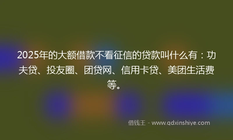 2025年的大额借款不看征信的贷款叫什么有：功夫贷、投友圈、团贷网、信用卡贷、美团生活费等。