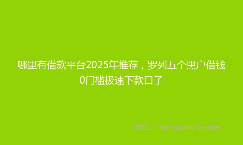 哪里有借款平台2025年推荐，罗列五个黑户借钱0门槛极速下款口子