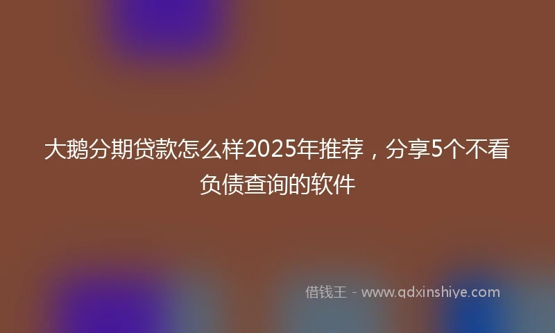 大鹅分期贷款怎么样2025年推荐，分享5个不看负债查询的软件