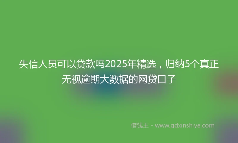 失信人员可以贷款吗2025年精选，归纳5个真正无视逾期大数据的网贷口子