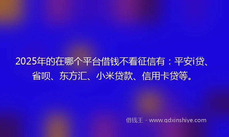 2025年的在哪个平台借钱不看征信有：平安i贷、省呗、东方汇、小米贷款、信用卡贷等。