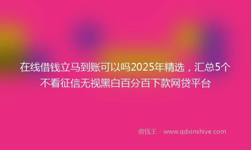 在线借钱立马到账可以吗2025年精选，汇总5个不看征信无视黑白百分百下款网贷平台