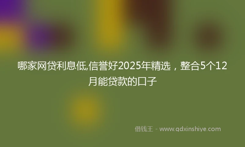 哪家网贷利息低,信誉好2025年精选，整合5个12月能贷款的口子