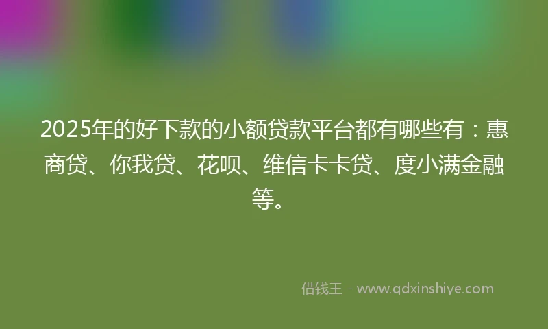 2025年的好下款的小额贷款平台都有哪些有：惠商贷、你我贷、花呗、维信卡卡贷、度小满金融等。