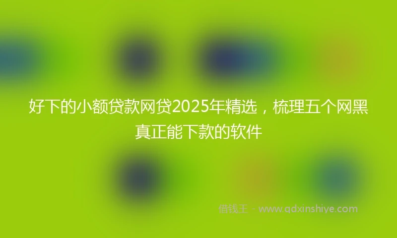 好下的小额贷款网贷2025年精选，梳理五个网黑真正能下款的软件