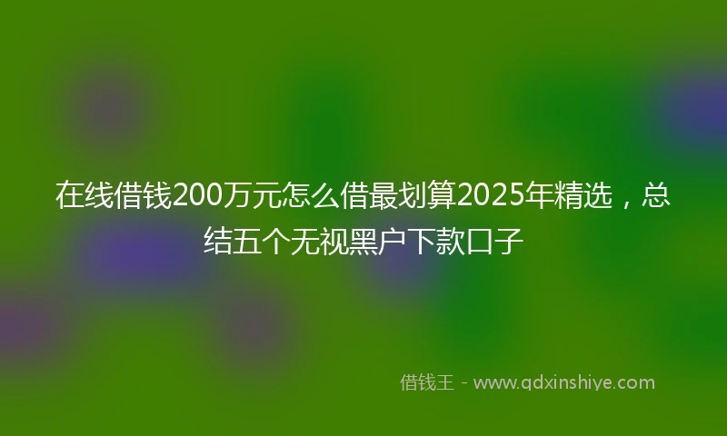 在线借钱200万元怎么借最划算2025年精选，总结五个无视黑户下款口子