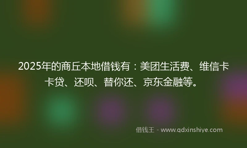 2025年的商丘本地借钱有:美团生活费、维信卡卡贷、还呗、替你还、京东金融等。