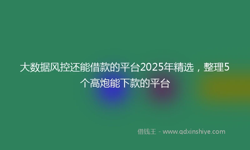 大数据风控还能借款的平台2025年精选，整理5个高炮能下款的平台