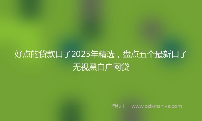 好点的贷款口子2025年精选，盘点五个最新口子无视黑白户网贷