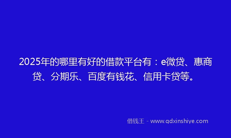 2025年的哪里有好的借款平台有：e微贷、惠商贷、分期乐、百度有钱花、信用卡贷等。