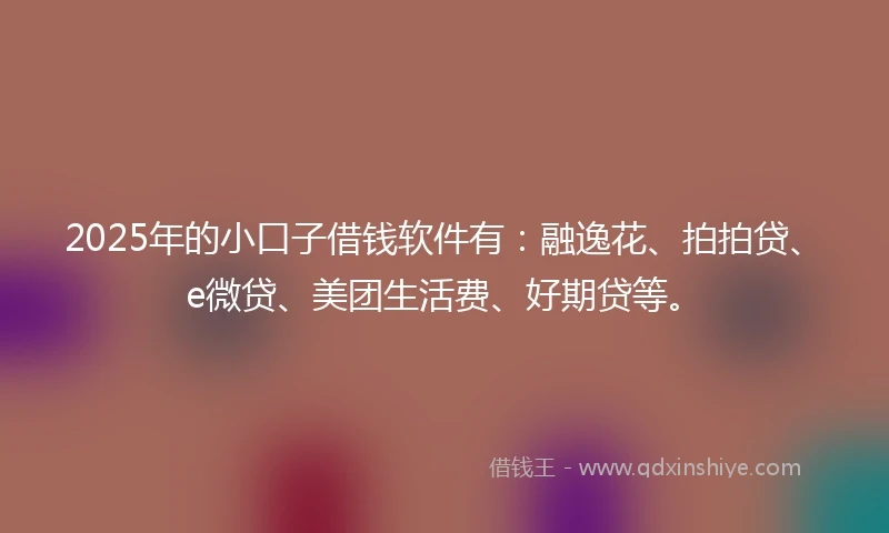 2025年的小口子借钱软件有：融逸花、拍拍贷、e微贷、美团生活费、好期贷等。