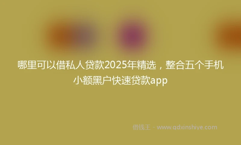 哪里可以借私人贷款2025年精选，整合五个手机小额黑户快速贷款app