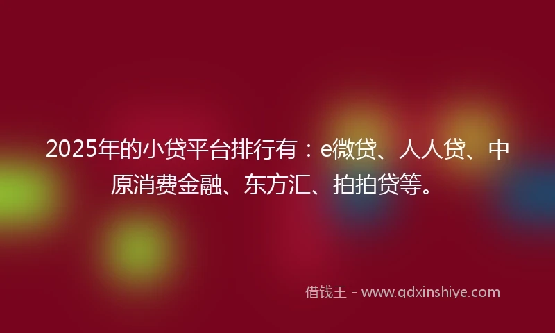 2025年的小贷平台排行有：e微贷、人人贷、中原消费金融、东方汇、拍拍贷等。