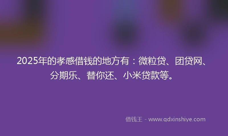 2025年的孝感借钱的地方有：微粒贷、团贷网、分期乐、替你还、小米贷款等。