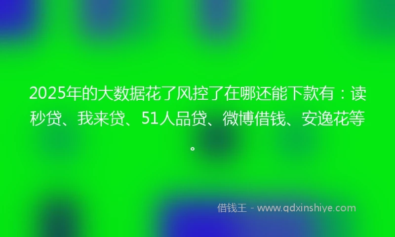 2025年的大数据花了风控了在哪还能下款有：读秒贷、我来贷、51人品贷、微博借钱、安逸花等。