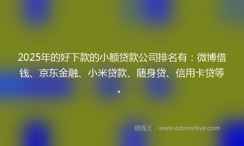 2025年的好下款的小额贷款公司排名有：微博借钱、京东金融、小米贷款、随身贷、信用卡贷等。