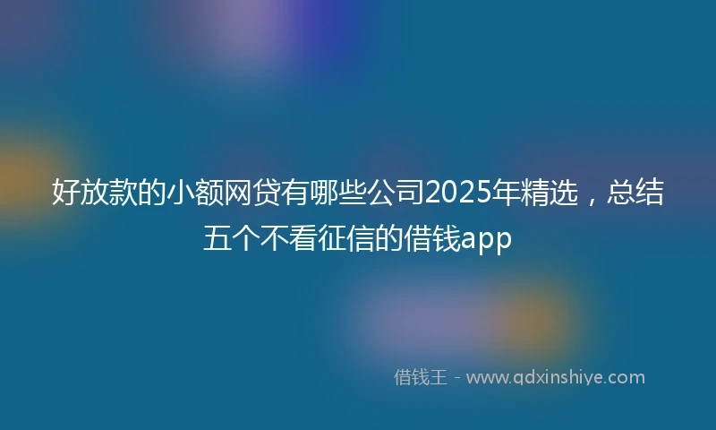 好放款的小额网贷有哪些公司2025年精选，总结五个不看征信的借钱app
