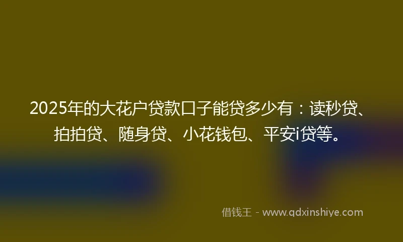 2025年的大花户贷款口子能贷多少有：读秒贷、拍拍贷、随身贷、小花钱包、平安i贷等。