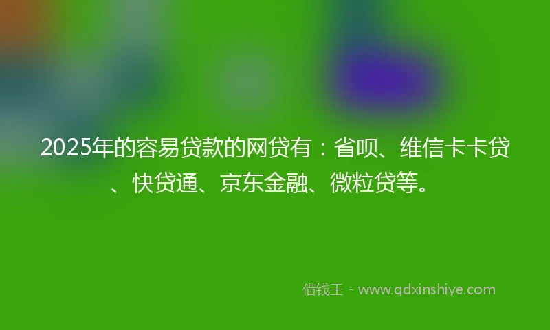 2025年的容易贷款的网贷有：省呗、维信卡卡贷、快贷通、京东金融、微粒贷等。