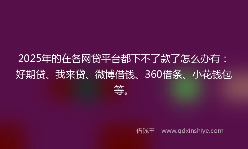 2025年的在各网贷平台都下不了款了怎么办有：好期贷、我来贷、微博借钱、360借条、小花钱包等。