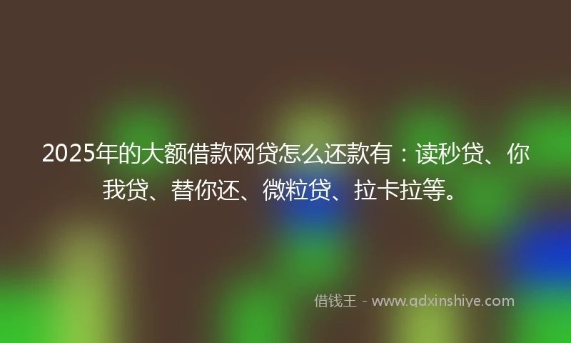 2025年的大额借款网贷怎么还款有：读秒贷、你我贷、替你还、微粒贷、拉卡拉等。