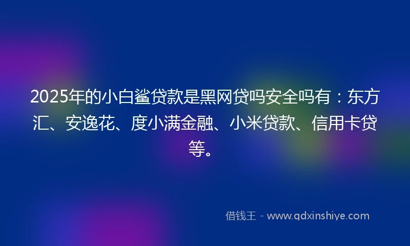 2025年的小白鲨贷款是黑网贷吗安全吗有：东方汇、安逸花、度小满金融、小米贷款、信用卡贷等。