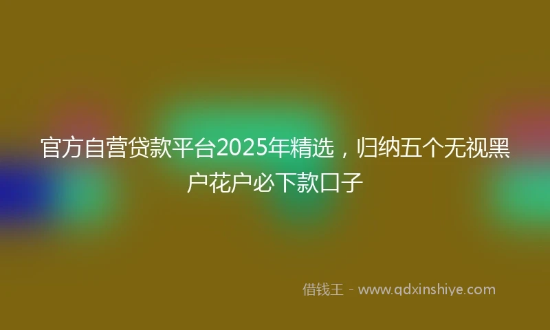官方自营贷款平台2025年精选，归纳五个无视黑户花户必下款口子