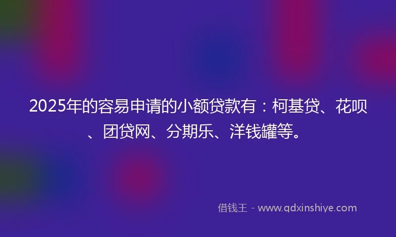 2025年的容易申请的小额贷款有：柯基贷、花呗、团贷网、分期乐、洋钱罐等。