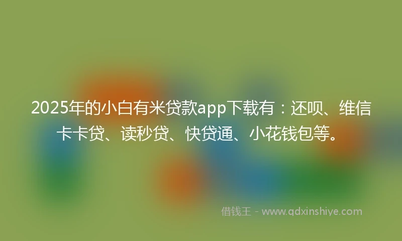 2025年的小白有米贷款app下载有：还呗、维信卡卡贷、读秒贷、快贷通、小花钱包等。