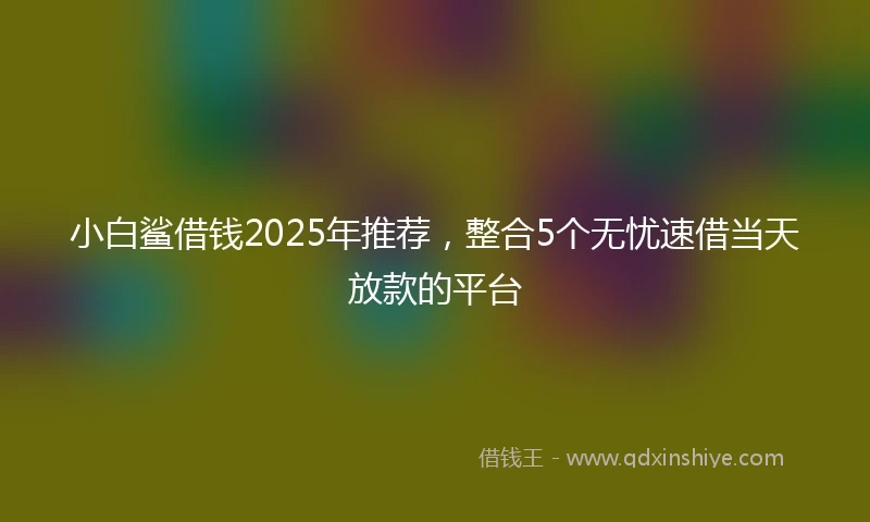 小白鲨借钱2025年推荐，整合5个无忧速借当天放款的平台