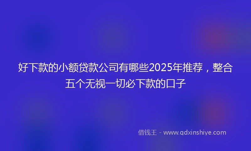好下款的小额贷款公司有哪些2025年推荐，整合五个无视一切必下款的口子