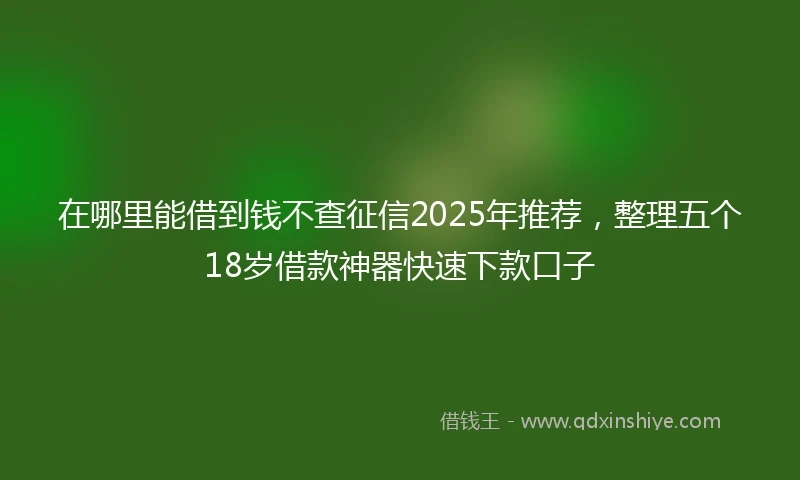 在哪里能借到钱不查征信2025年推荐，整理五个18岁借款神器快速下款口子