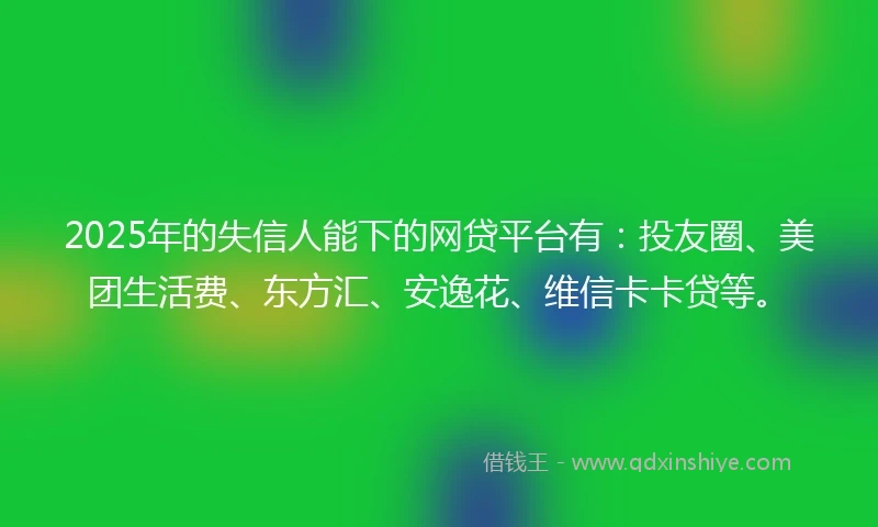 2025年的失信人能下的网贷平台有:投友圈、美团生活费、东方汇、安逸花、维信卡卡贷等。