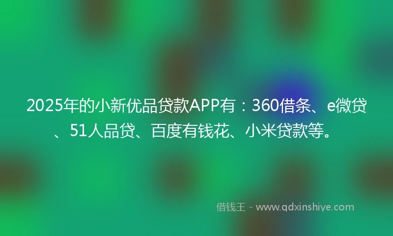 2025年的小新优品贷款APP有：360借条、e微贷、51人品贷、百度有钱花、小米贷款等。